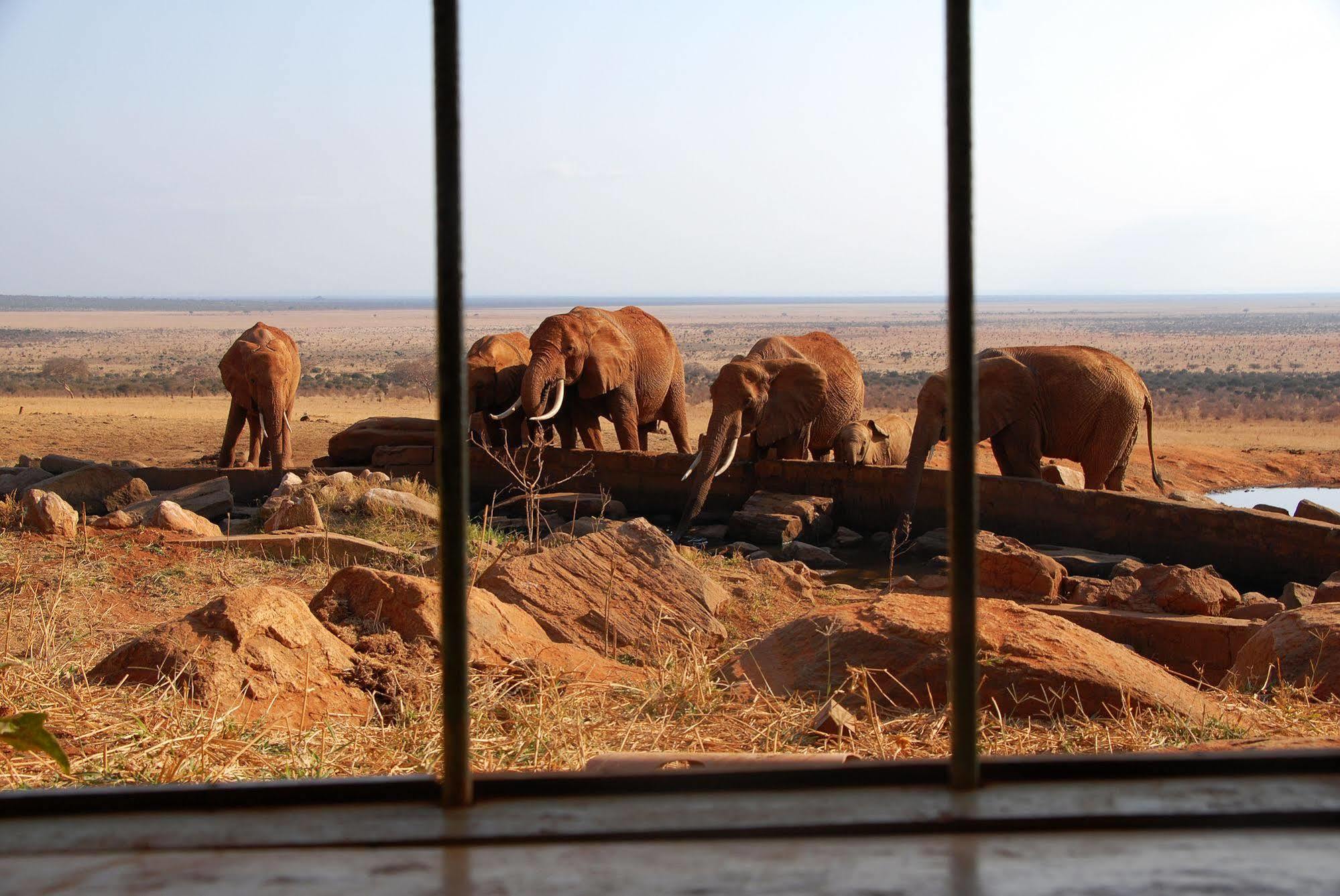 Voi Safari Lodge エクステリア 写真